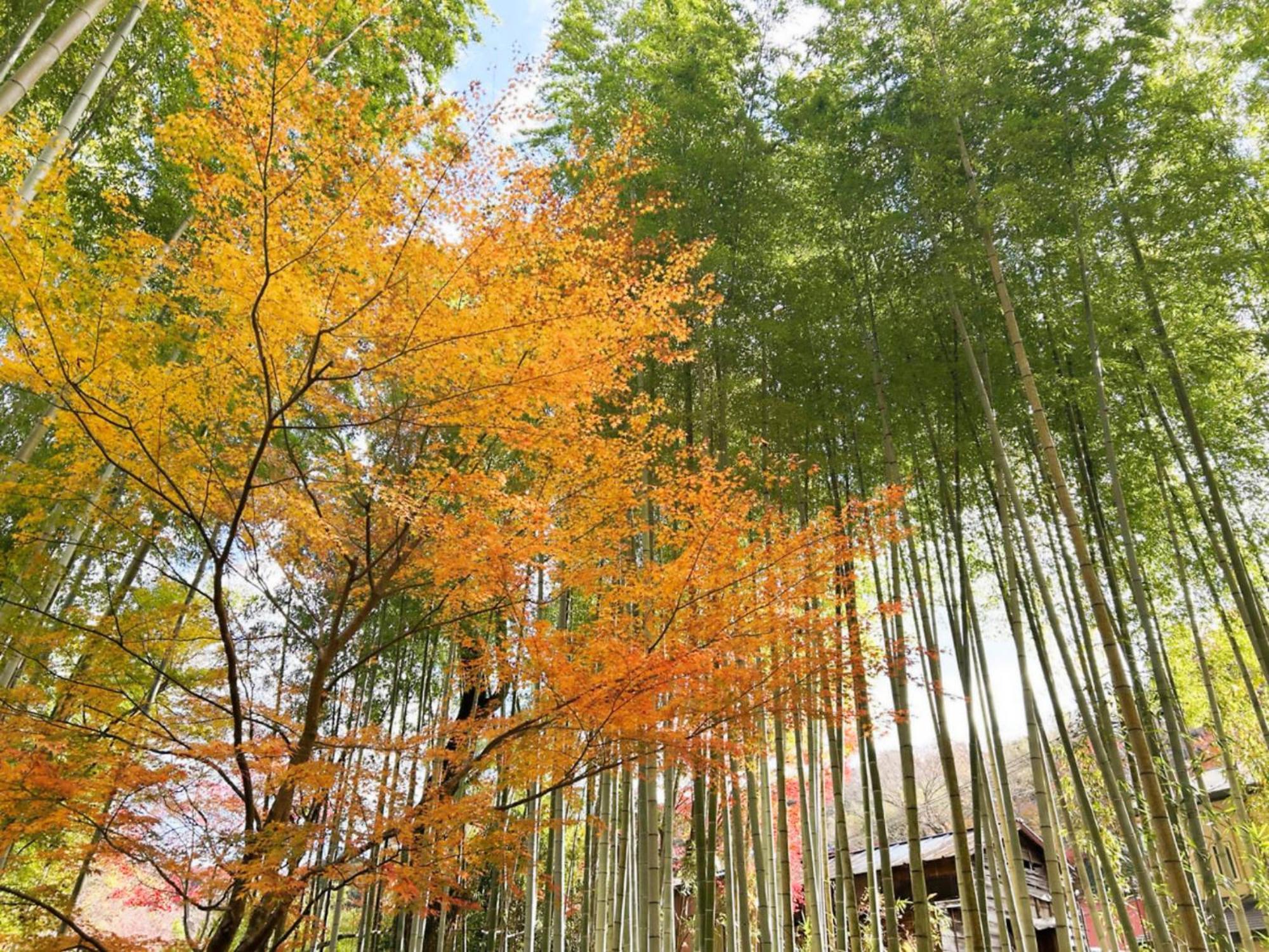 Shuzenji Onsen Hotel Takitei Izu  Exterior photo