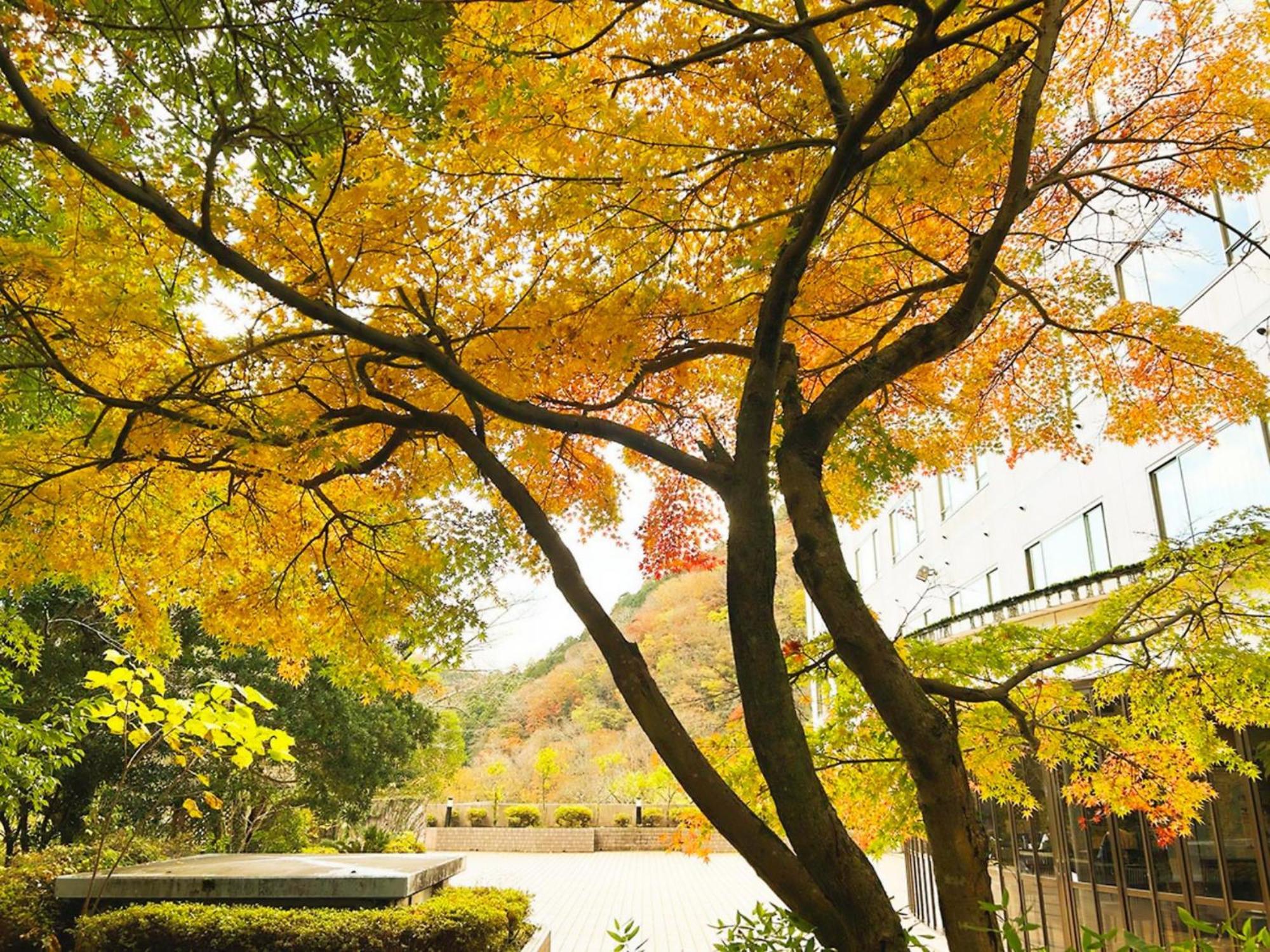 Shuzenji Onsen Hotel Takitei Izu  Exterior photo